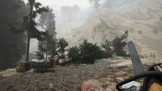 Скриншот 5 к игре Lumberjack Simulator