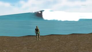 Скриншот 5 к игре The Endless Summer - Search For Surf