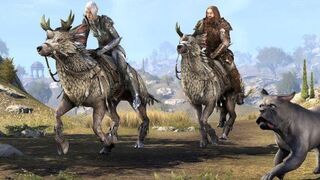 Почему люди продолжают играть в The Elder Scrolls Online?