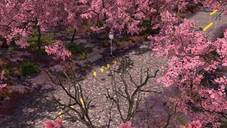 Скриншот 8 к игре VR health care (running exercise): VR walking and running along beautiful seabeach and sakura forests