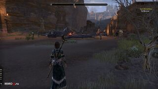 Обзор The Elder Scrolls Online: Elsweyr — «Довакина на вас нет!»