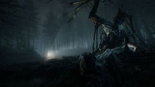 Скриншот 5 к игре Blair Witch