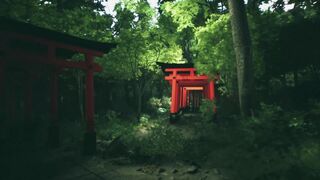 Скриншот 5 к игре Explore Fushimi Inari