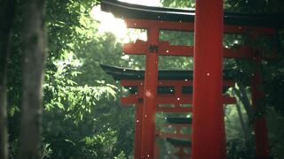 Скриншот 8 к игре Explore Fushimi Inari