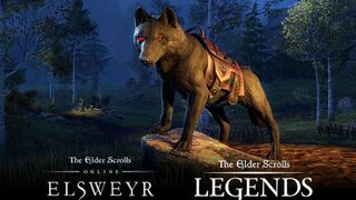 Бесплатный маунт для The Elder Scrolls Online за игру в The Elder Scrolls: Legends