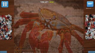 Скриншот 5 к игре Bepuzzled Jigsaw Puzzle: Aquatic