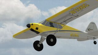 Скриншот 8 к игре RealFlight 9.5S