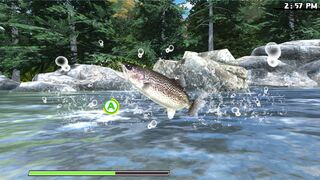 Скриншот 7 к игре Reel Fishing: Road Trip Adventure
