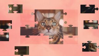 Скриншот 5 к игре Jigsaw Puzzle Cats