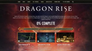 Убьёшь дракона — спасёшь кошку — авторы The Elder Scrolls Online запускают благотворительную акцию