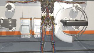 Скриншот 7 к игре Surgical Study and 3D Skeletons for Medical School Students
