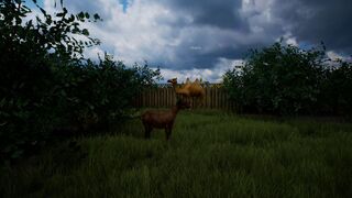 Скриншот 8 к игре Country Road VR