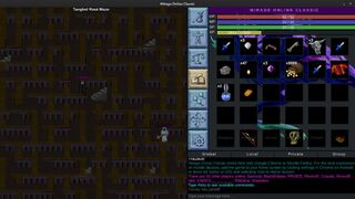 Скриншот 8 к игре Mirage Online Classic