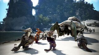 Планы Pearl Abyss на первое полугодие 2020 в Black Desert: новый регион, экипировка и другое