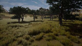 The Savana