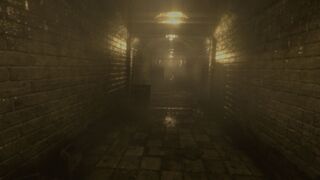 Скриншот 6 к игре S.W.A.N.: Chernobyl Unexplored
