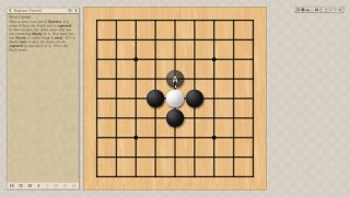 The Conquest of Go