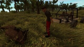 Скриншот 5 к игре Dry Grass