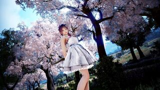 Не только на PC — количество возвращающихся игроков Black Desert на консолях составило 350%