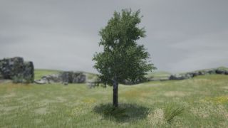 Tree Simulator 2021