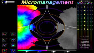 Micromanagement