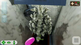 Medicinal Herbs - Cannabis Grow Simulator