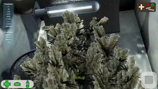 Скриншот 5 к игре Medicinal Herbs - Cannabis Grow Simulator