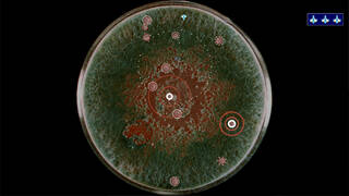 Coronavirus - Nano Force