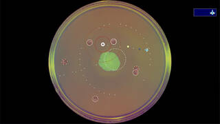 Coronavirus - Nano Force