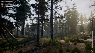Скриншот 5 к игре Before Nightfall: Summertime