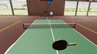 Pro Table Tennis VR