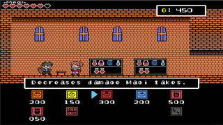 Скриншот 8 к игре Arcanion: Tale of Magi