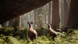 Скриншот 5 к игре Wilderness