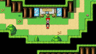 Скриншот 7 к игре Reimu's Weird little adventure