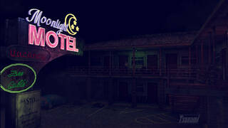 The Moonlight Motel