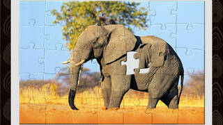 1001 Jigsaw World Tour Africa