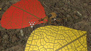 Скриншот 5 к игре Insect: Bombardier beetle