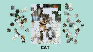 Learning jigsaw - Animals