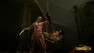 Скриншот 6 к игре TORMENTOR
