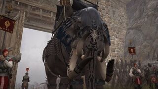Планы разработчиков Black Desert на 2021 год: новый континент, групповое подземелье и другое