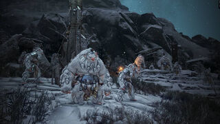 Планы разработчиков Black Desert на 2021 год: новый континент, групповое подземелье и другое