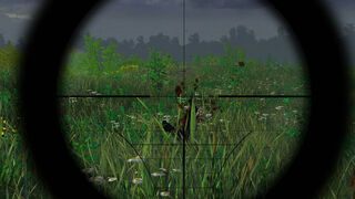 Скриншот 5 к игре Sniper Operation Z