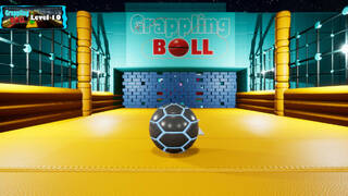 Grappling Ball