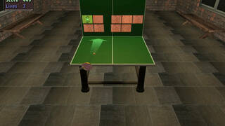 Table Tennis Pro