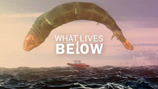 Скриншот 6 к игре What Lives Below