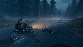Скриншот 6 к игре Days Gone
