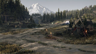 Скриншот 8 к игре Days Gone
