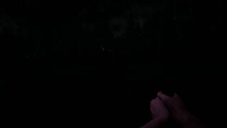 Скриншот 7 к игре Unknown Woods