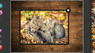 Cat's Life Jigsaw Puzzles