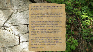 Скриншот 5 к игре Forgotten Forest: Eye of the Great One